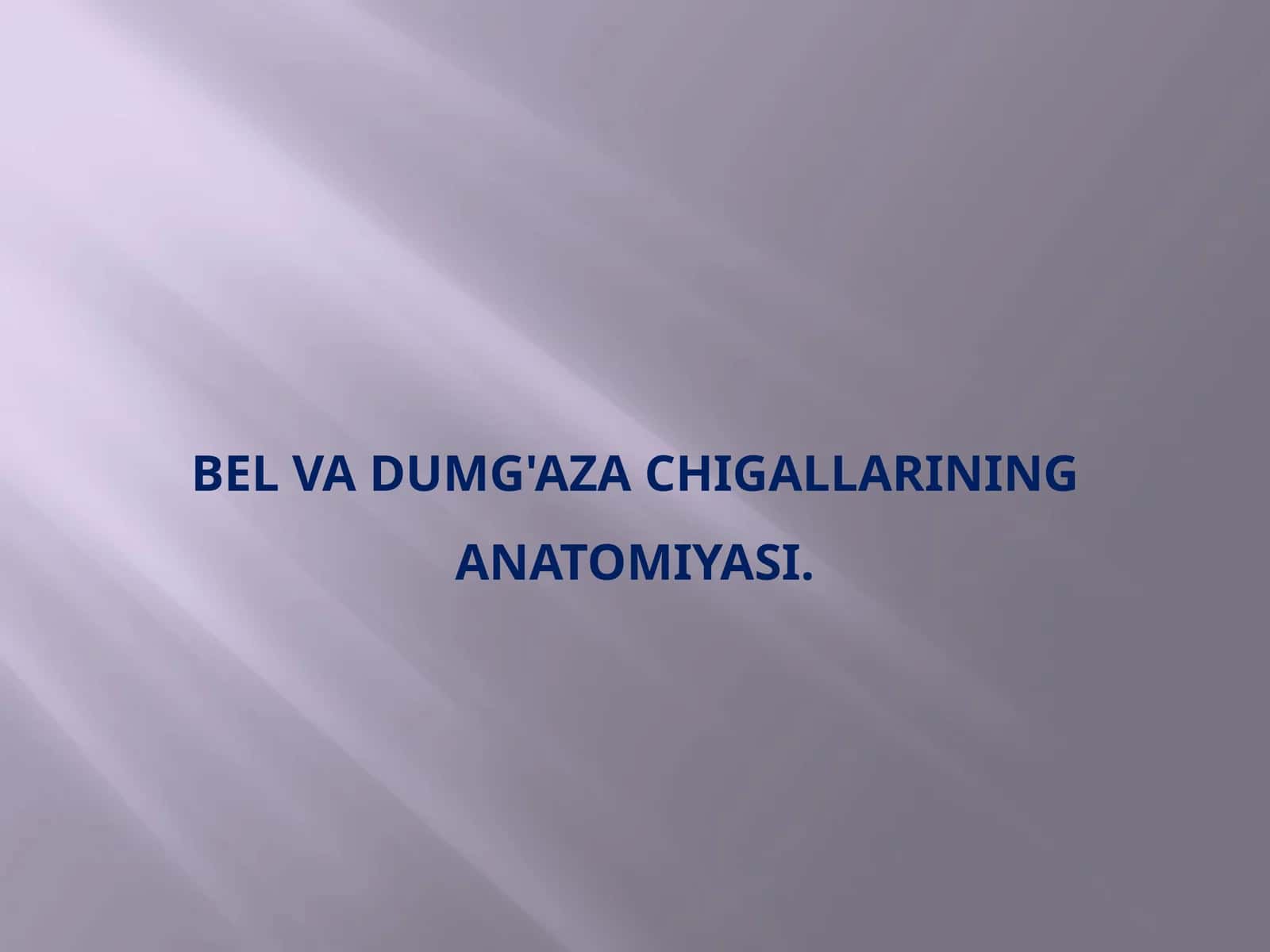 Belva dumg'aza chigallarining anatomiyasi