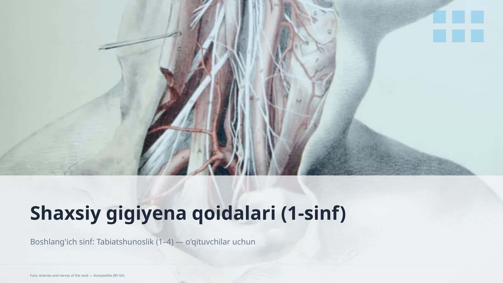 Shaxsiy gigiyena qoidalari (1-sinf)