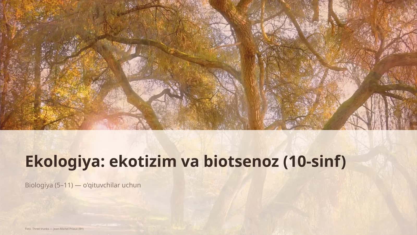 Ekologiya: ekotizim va biotsenoz (10-sinf)