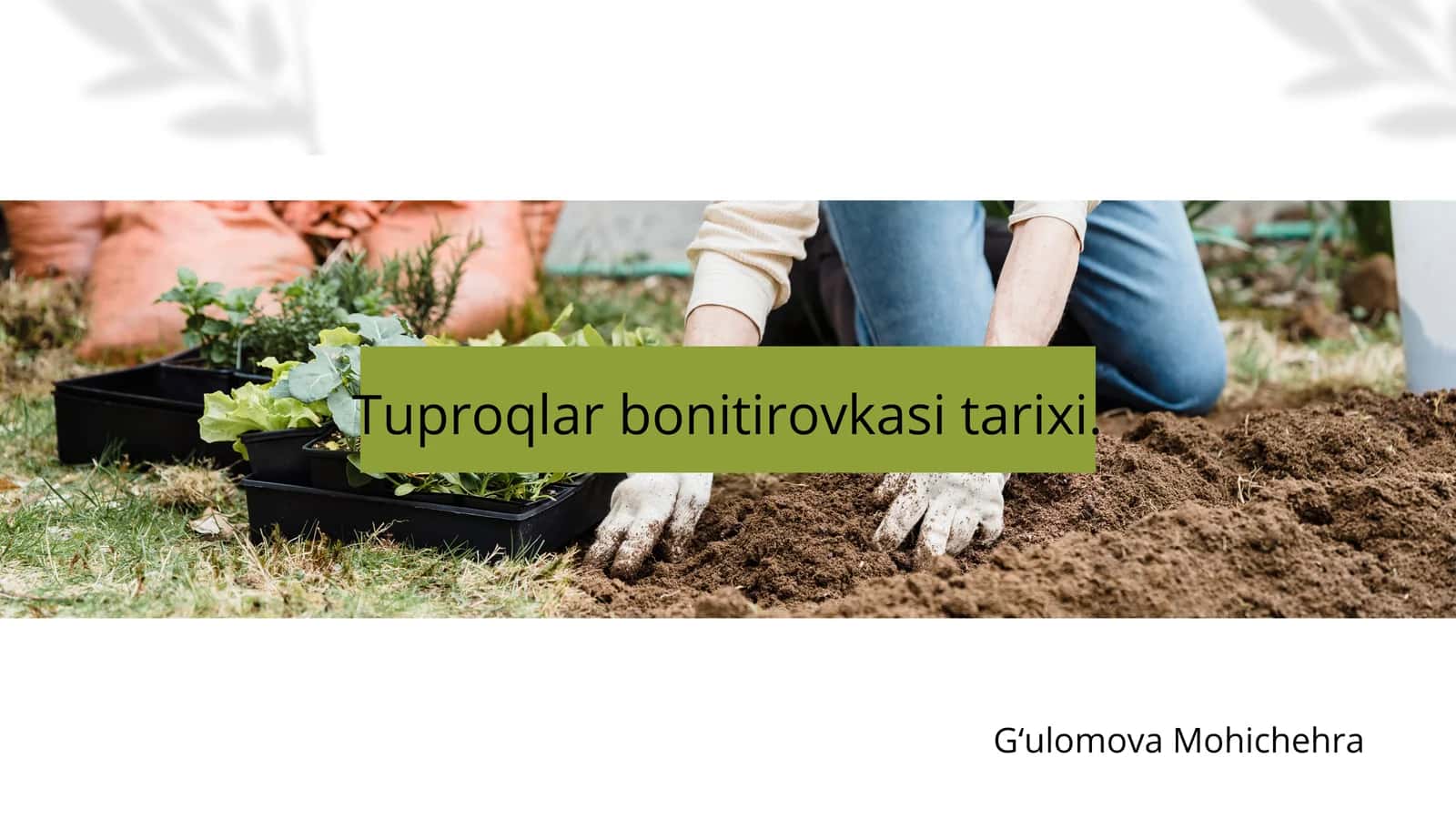 Tuproqlar bonitirovkasi tarixi