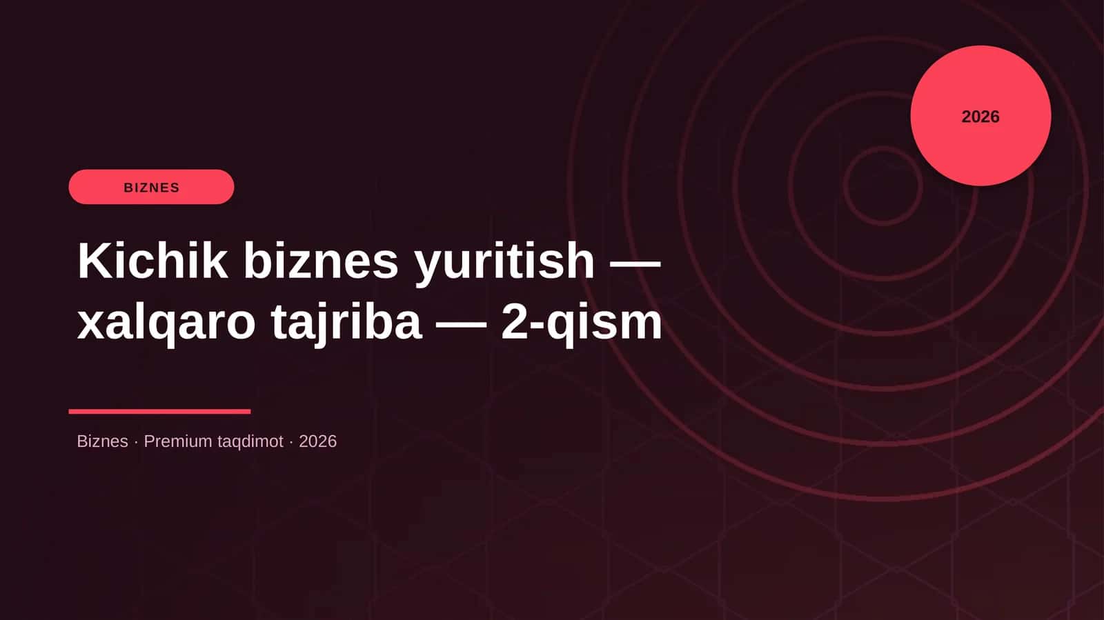 Kichik biznes yuritish — xalqaro tajriba — 2-qism