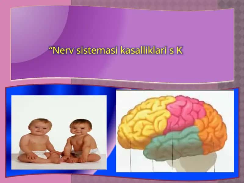 Nerv sistemasi kasalliklari va ularning oldini olish