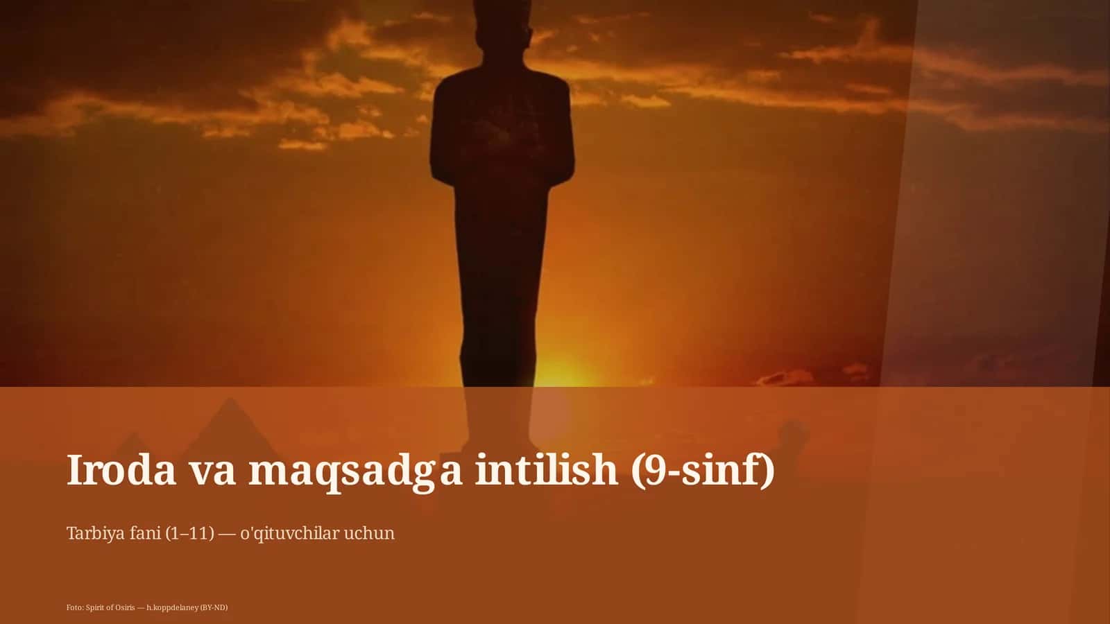 Iroda va maqsadga intilish (9-sinf)