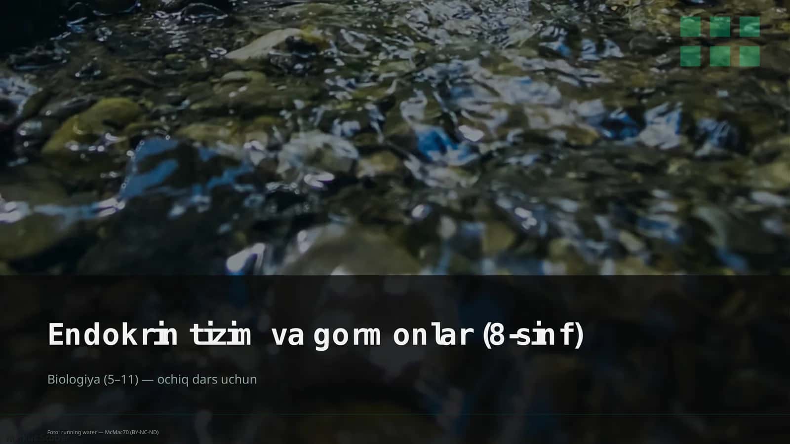 Endokrin tizim va gormonlar (8-sinf)