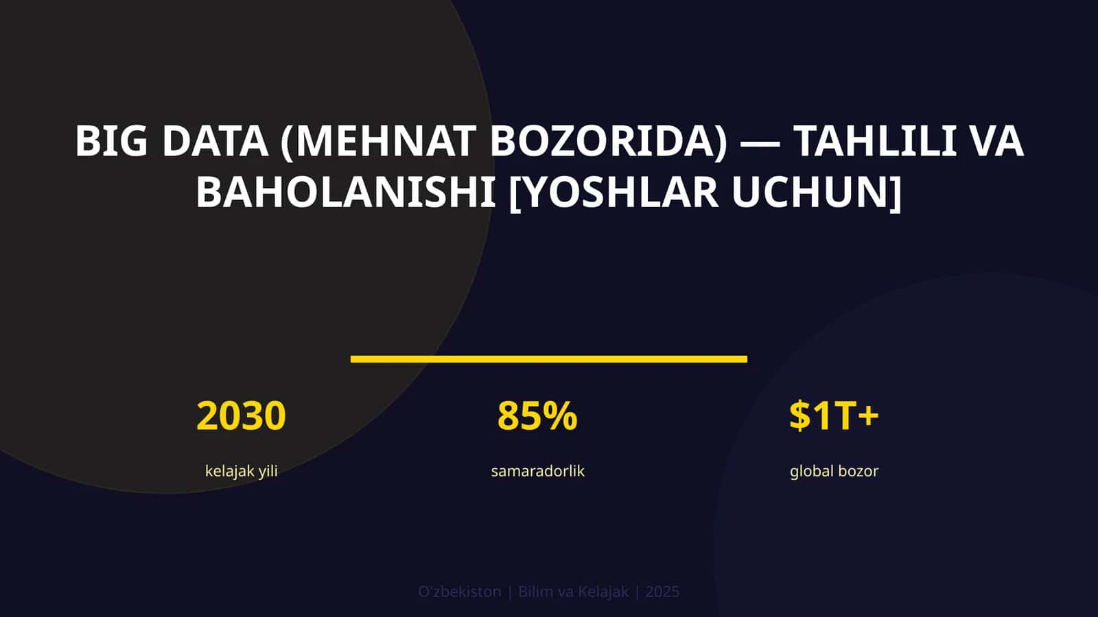 BIG DATA (MEHNAT BOZORIDA) — TAHLILI VA BAHOLANISHI [YOSHLAR UCHUN]