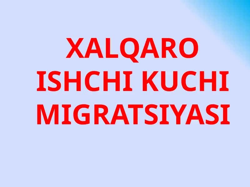 XALQARO ISHCHI KUCHI MIGRATSIYASI