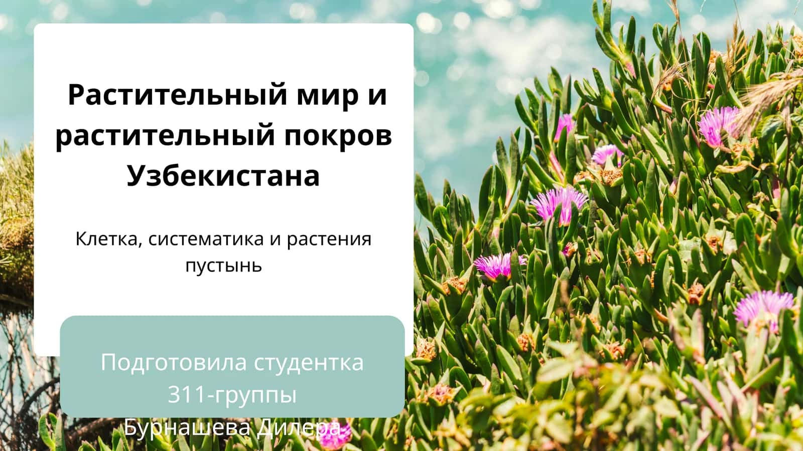 Растительный мир и растительный покров Узбекистана