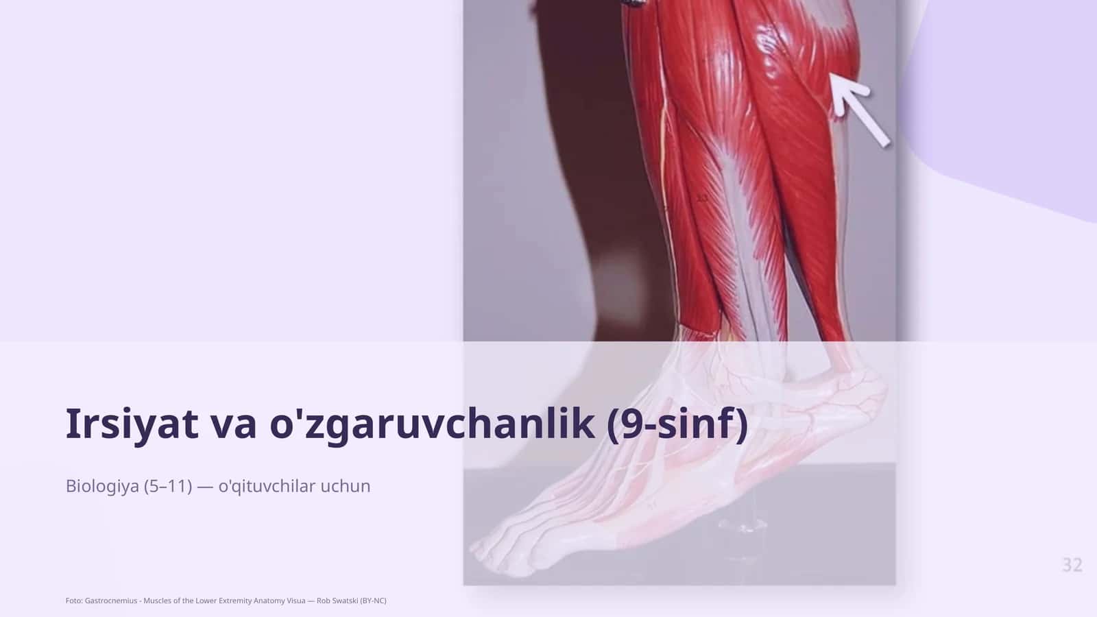 Biologiya (5–11) — o'qituvchilar uchun