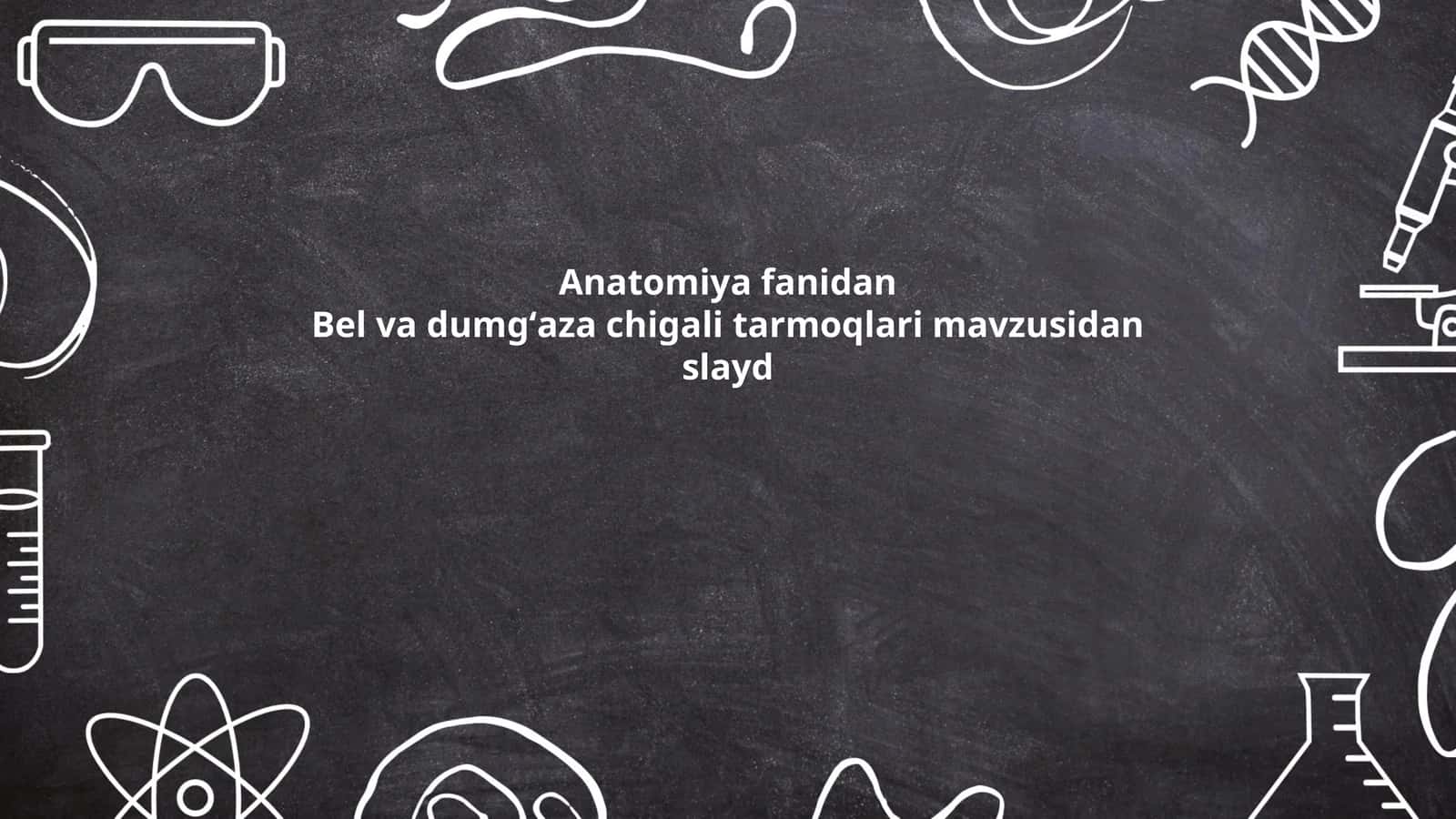 Bel va dumgʻaza chigali tarmoqlari