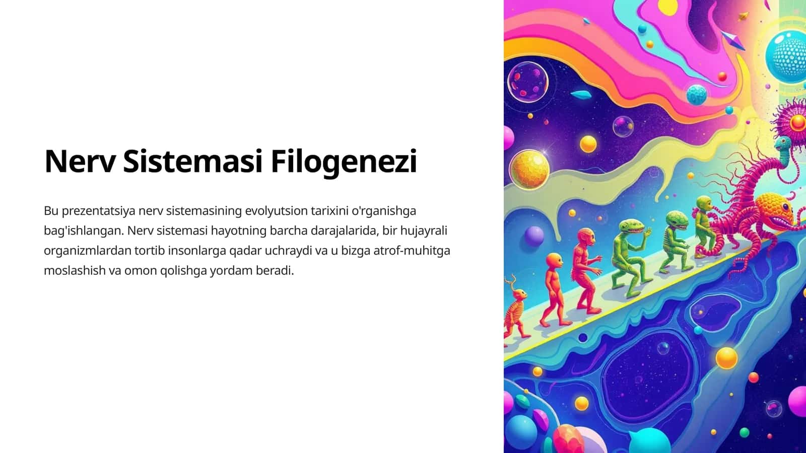 Nerv Sistemasi Filogenezi