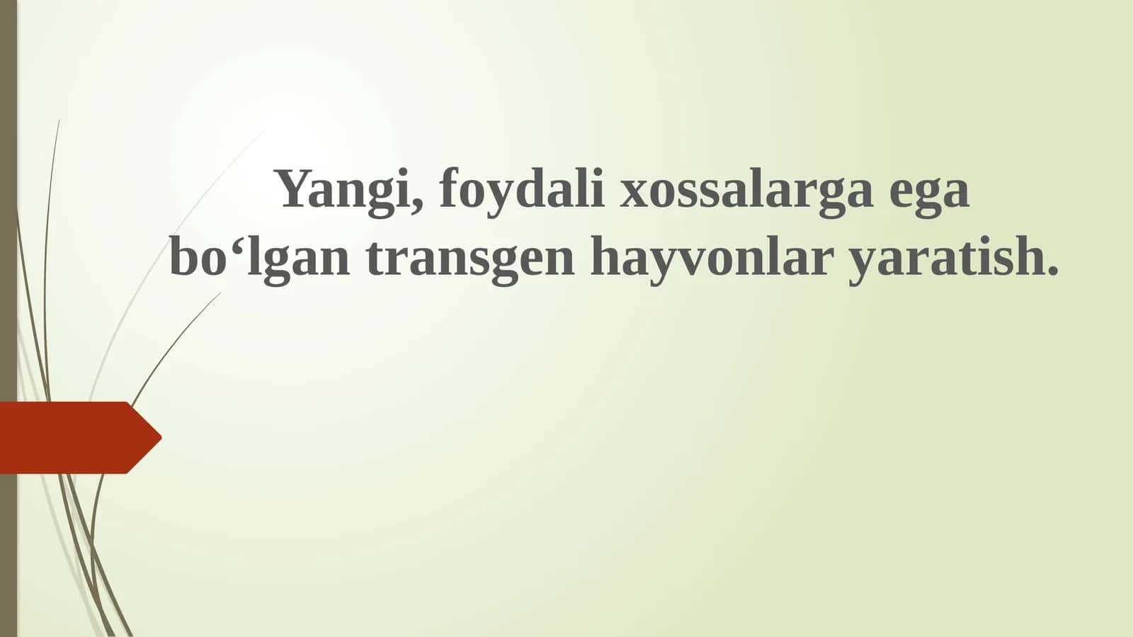 Transgen hayvonlar yaratish
