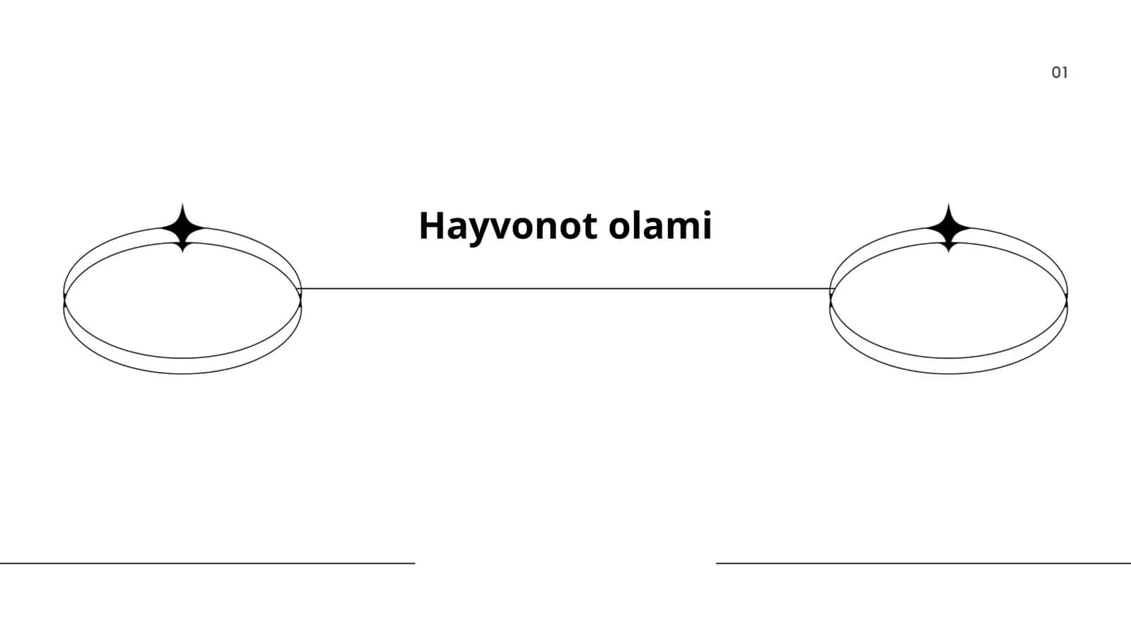 Hayvonot olami