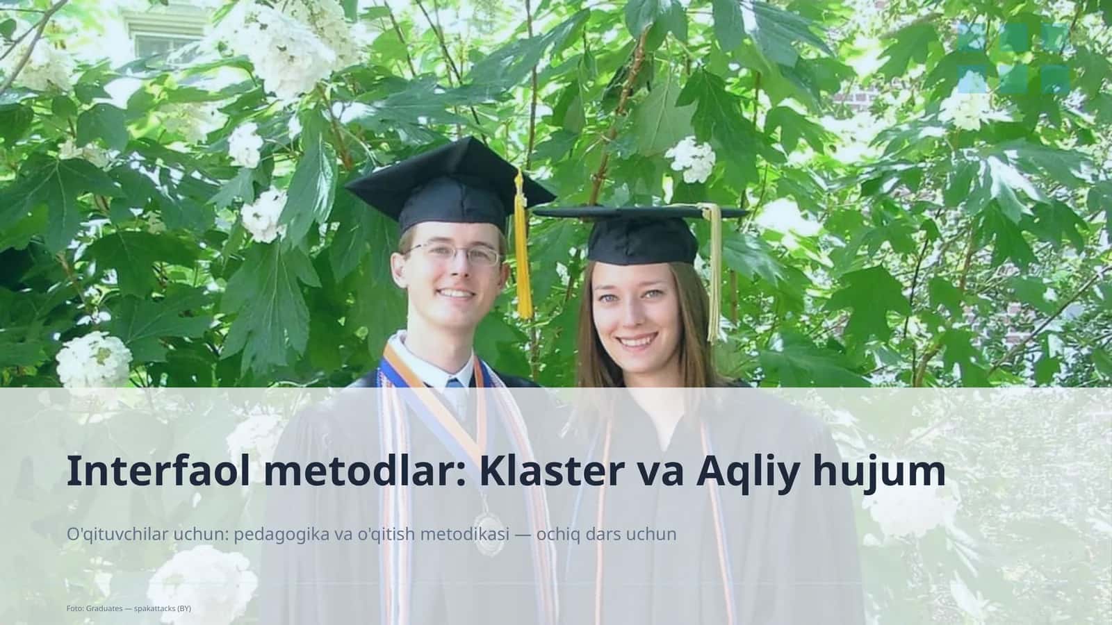Interfaol metodlar: Klaster va Aqliy hujum