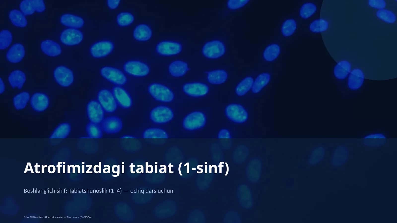 Atrofimizdagi tabiat (1-sinf)