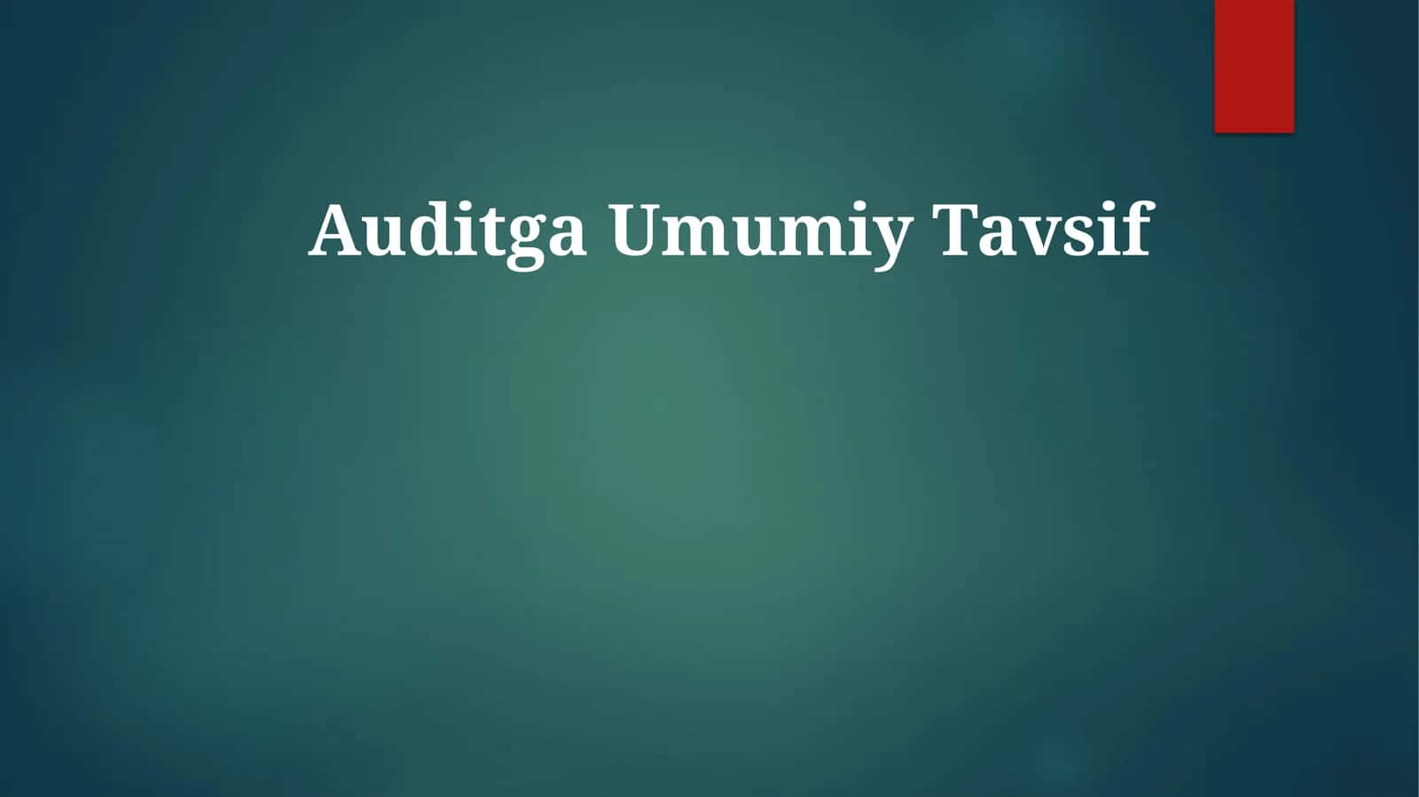 AuditgaUmumiyTavsif