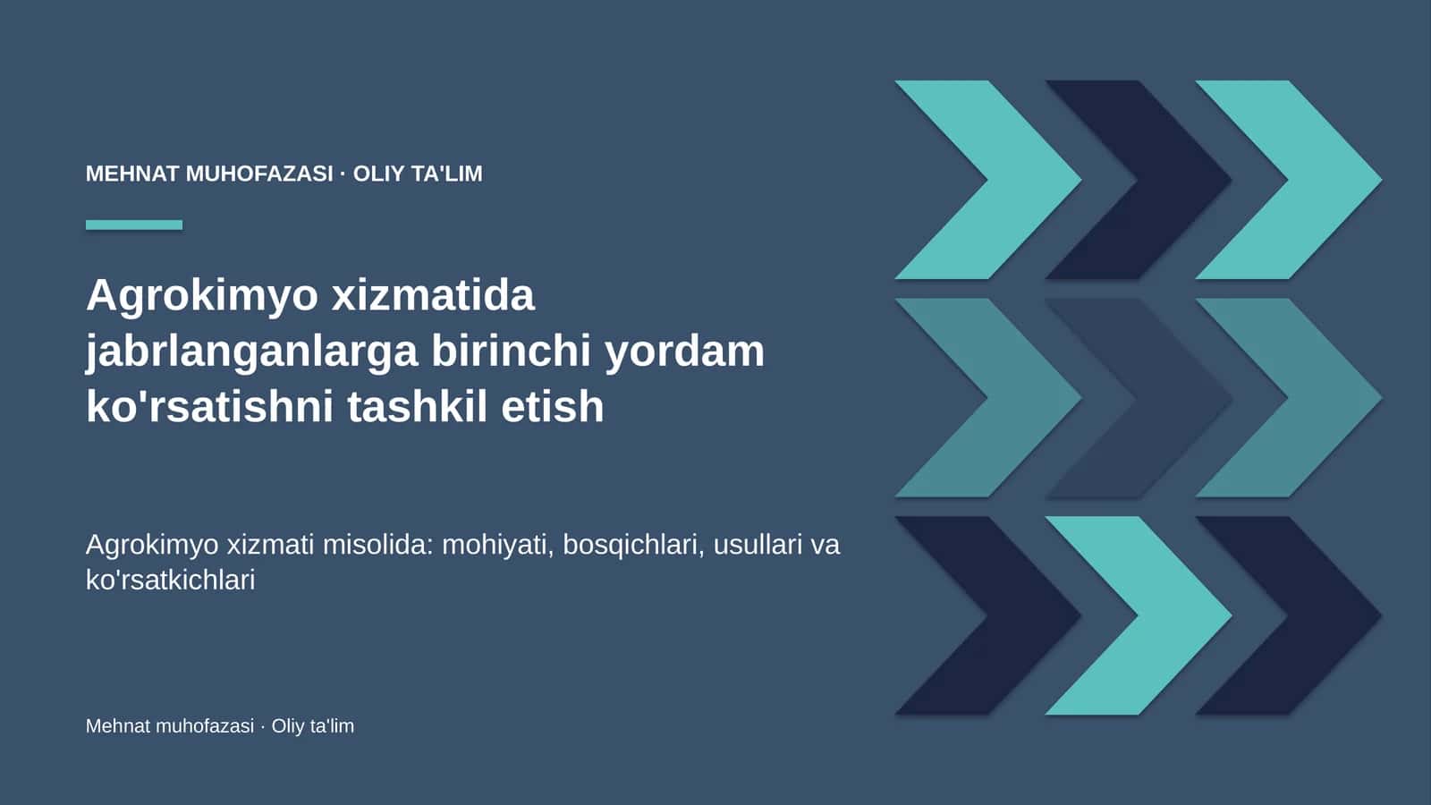 Agrokimyo xizmatida jabrlanganlarga birinchi yordam ko'rsatishni tashkil etish