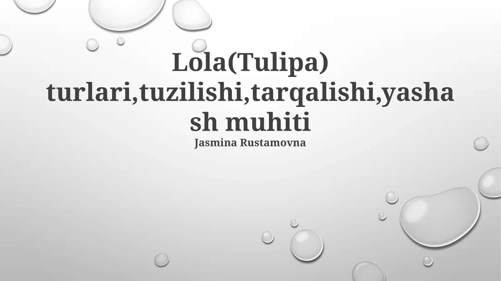 Lola (Tulipa) turlari