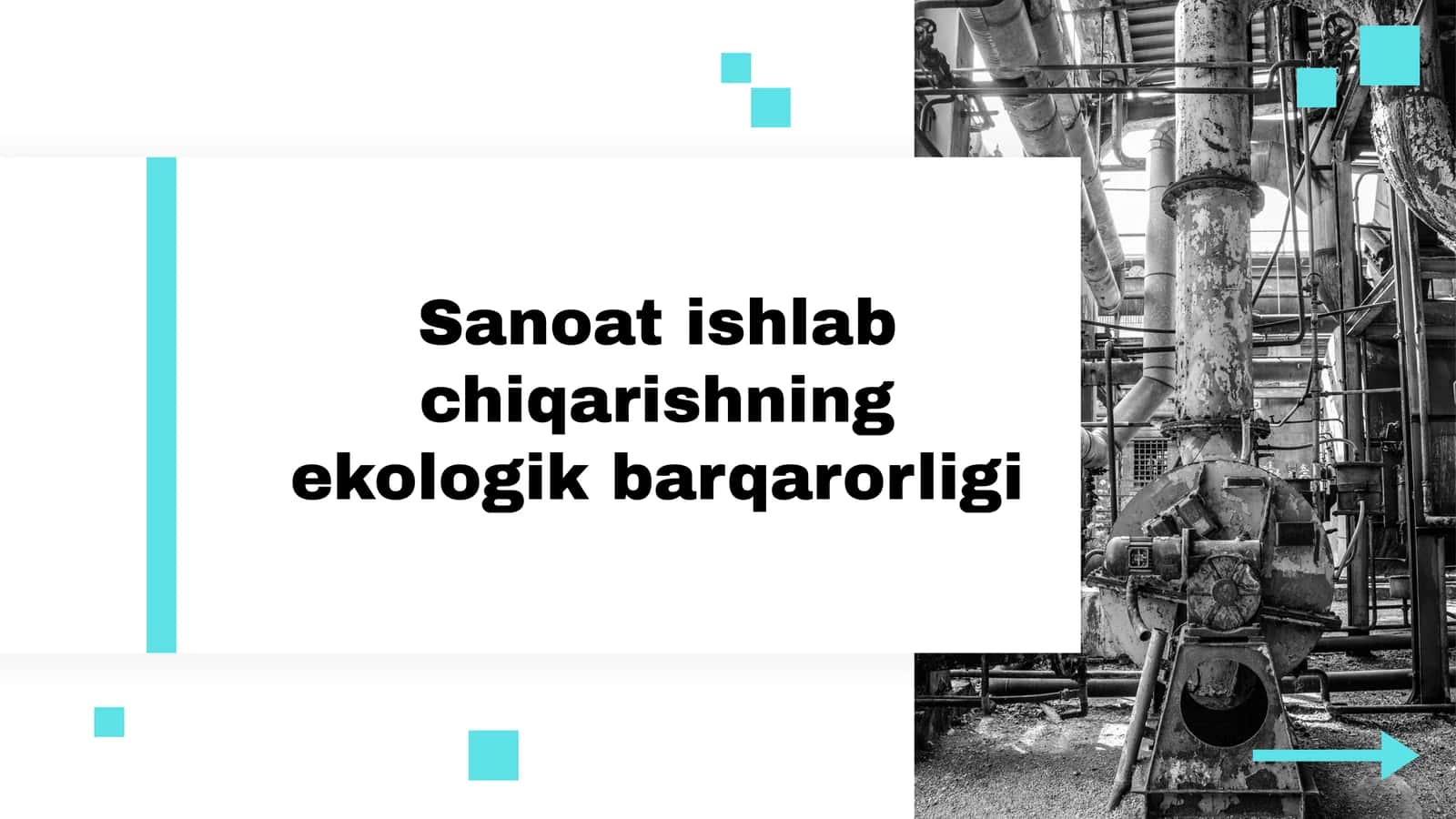 Sanoat ishlab chiqarishning ekologik barqarorligi
