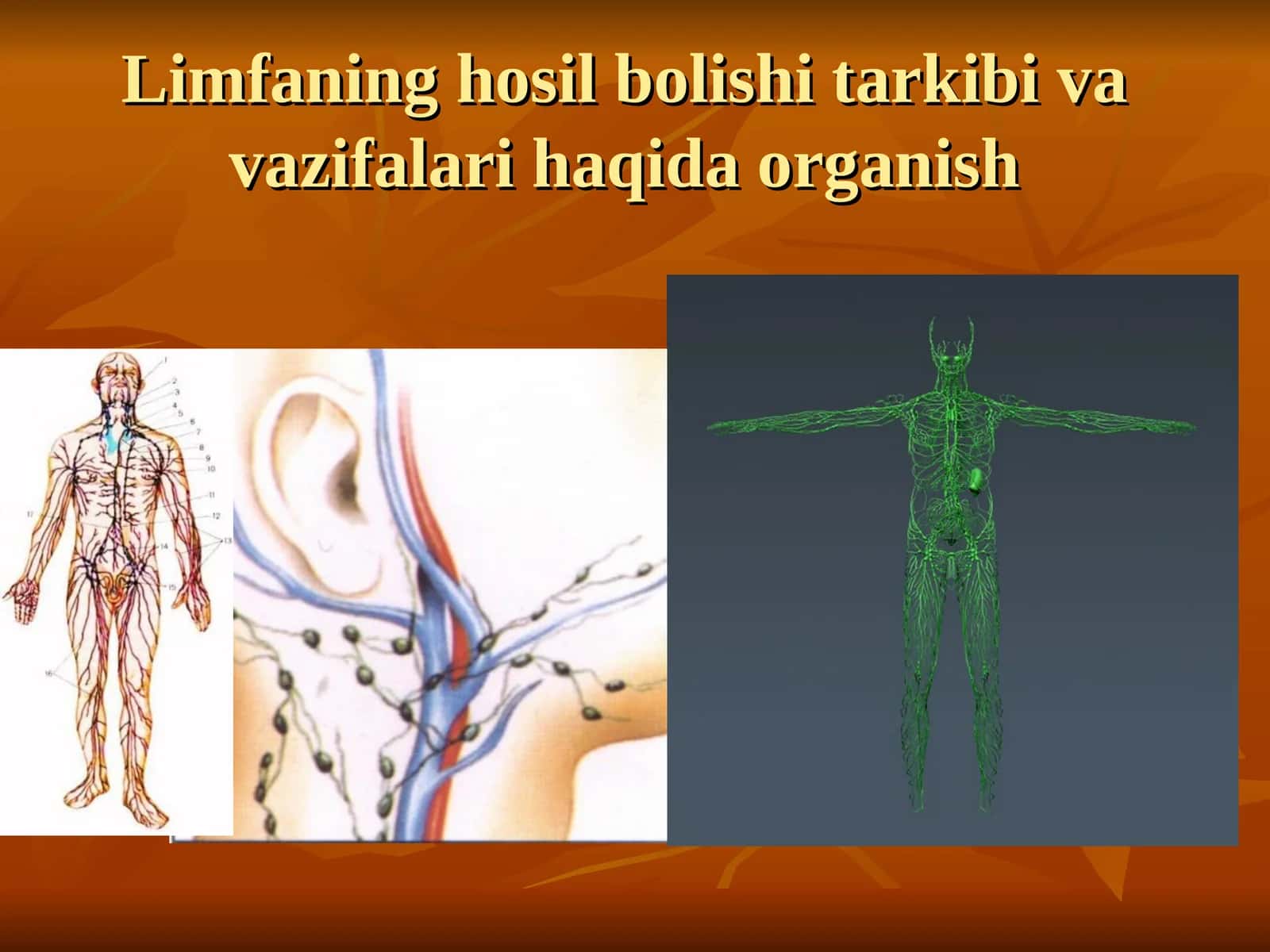 Limfa Sistemasi