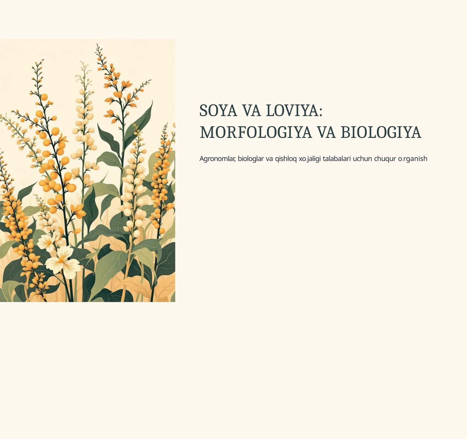 Soya va loviya morfologiyasi va biologiyasi PPT – Biologiya, Agronomiya va Dehqonchilik fanidan taqdimot