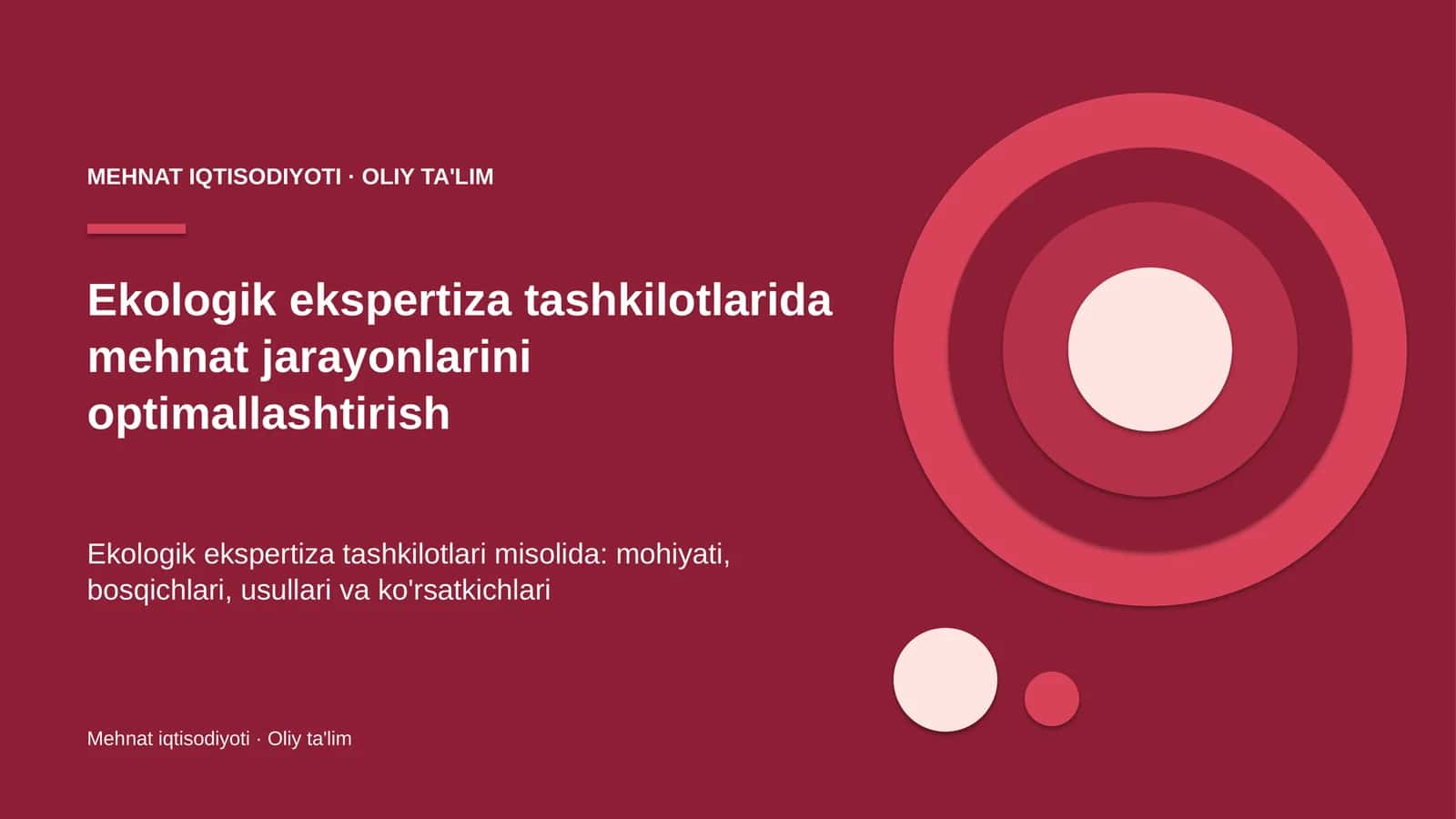 Ekologik ekspertiza tashkilotlarida mehnat jarayonlarini optimallashtirish