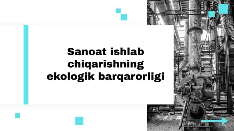Sanoat ishlab chiqarishning ekologik barqarorligi