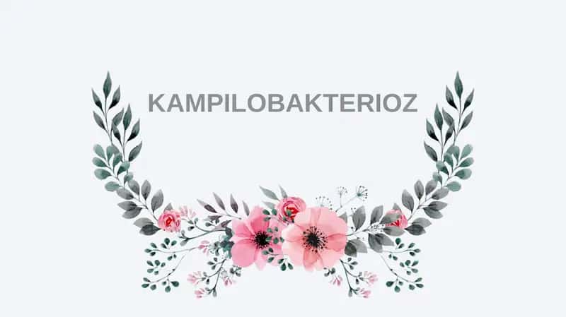 Kampilobakterioz. Yuqumli kasalliklar