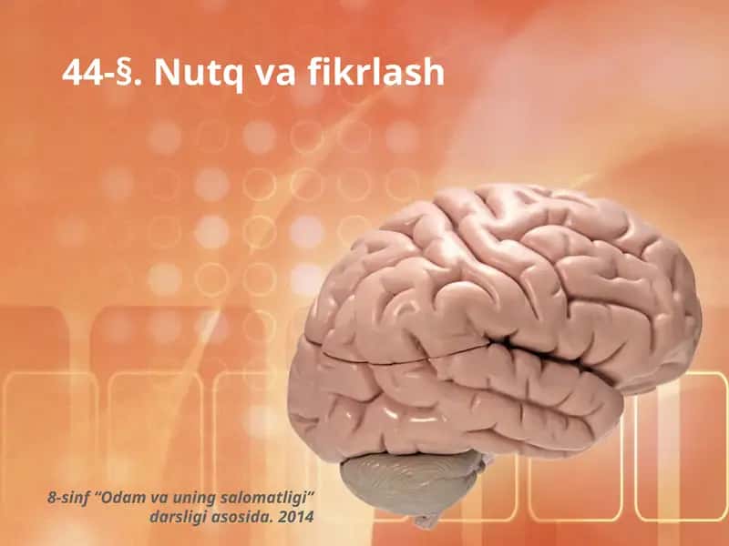 Nutq va Fikrlash