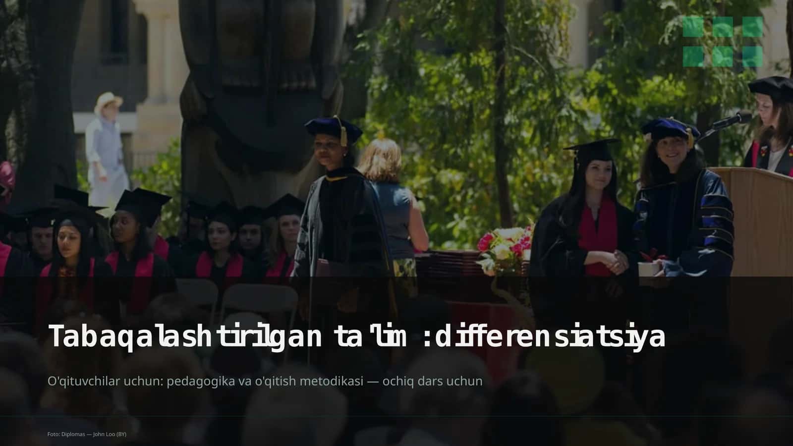 Tabaqalashtirilgan ta'lim: differensiatsiya