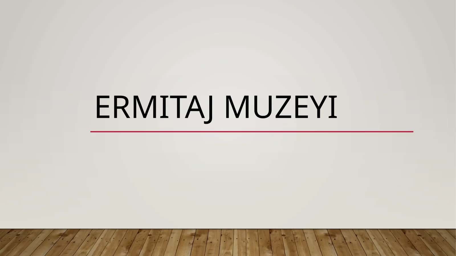 Ermitajmuzeyi