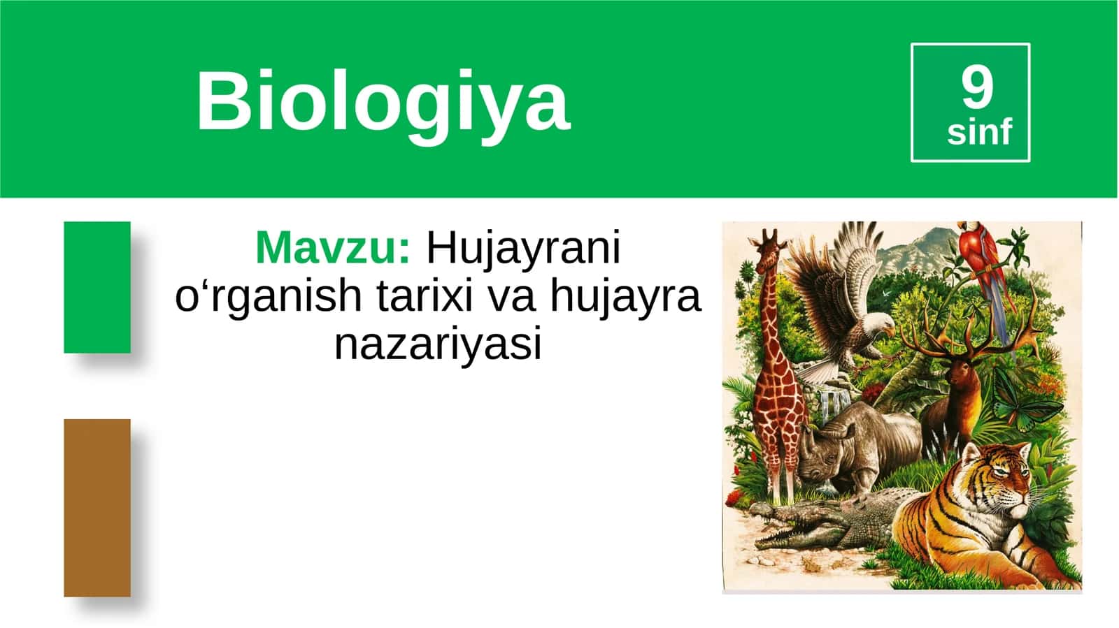 Mavzu:Hujayranio‘rganishtarixivahujayranazariyasi