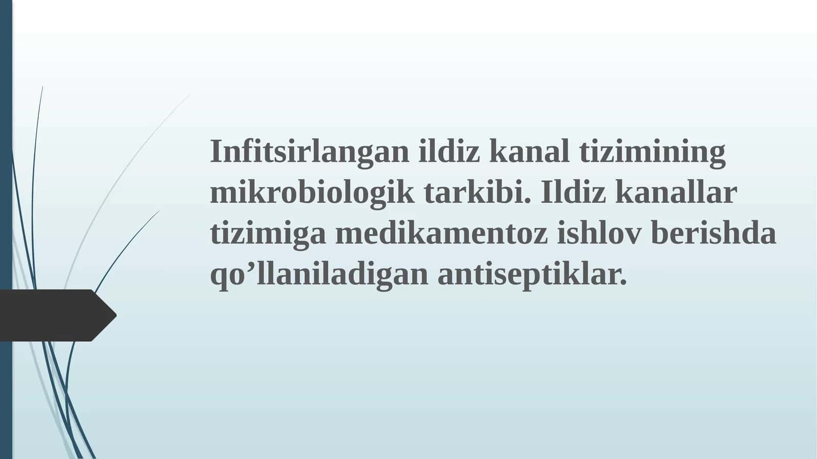 Infitsir langan ildiz kanal tizimi