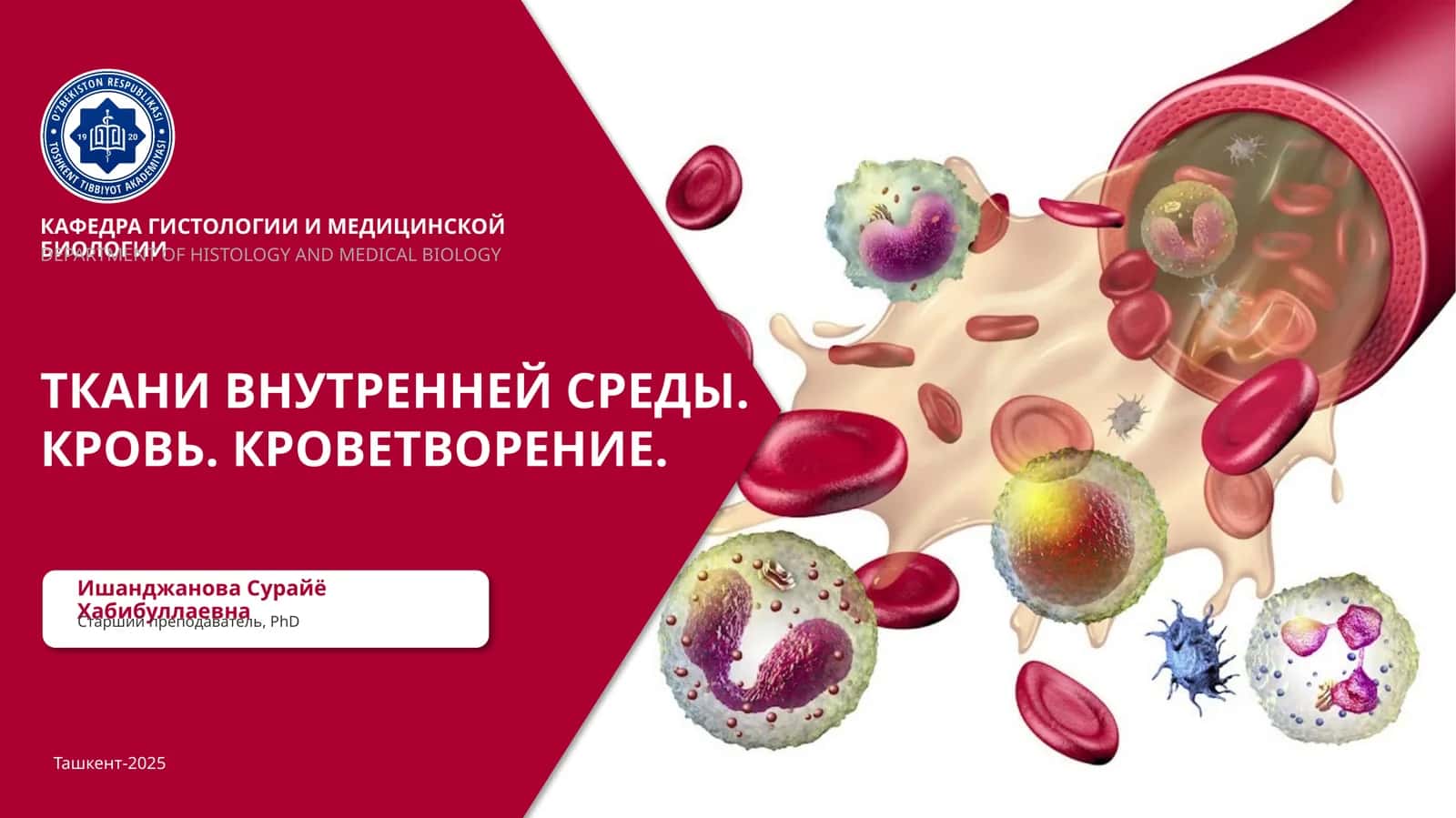 ТКАНИ ВНУТРЕННЕЙ СРЕДЫ.КРОВЬ.КРОВЕТВОРЕНИЕ