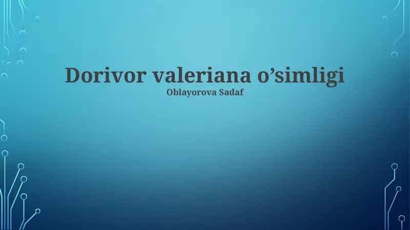 Dorivor valeriana o’simligi