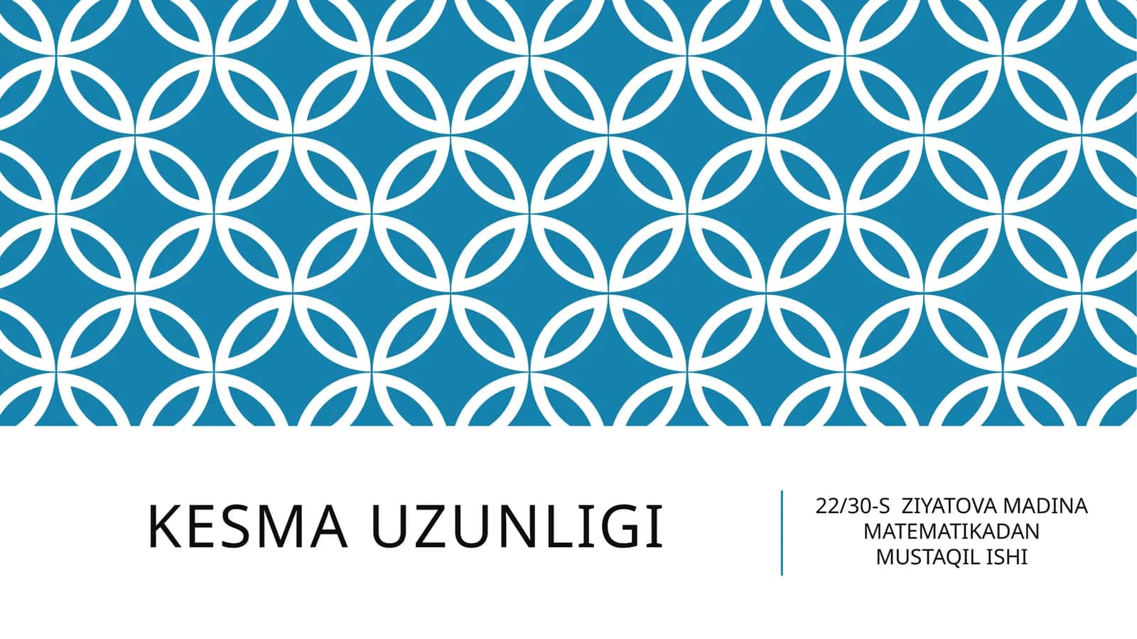 22/30-S ZIYATOVA MADINA MATEMATIKADAN MUSTAQIL ISHI