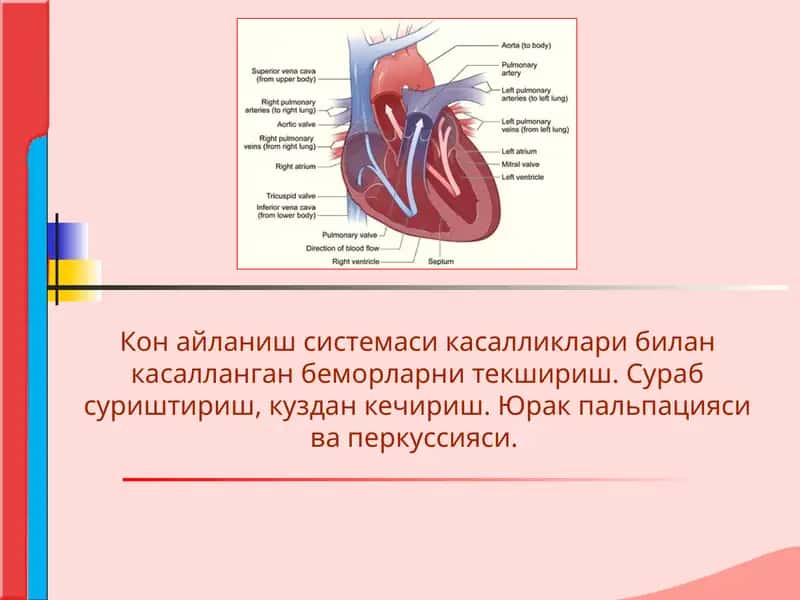 Кон айланиш системаси касалликлари