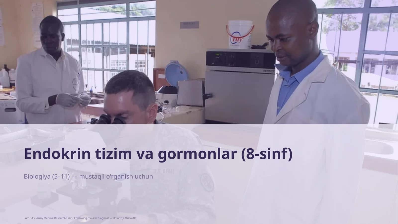 Endokrin tizim va gormonlar (8-sinf)