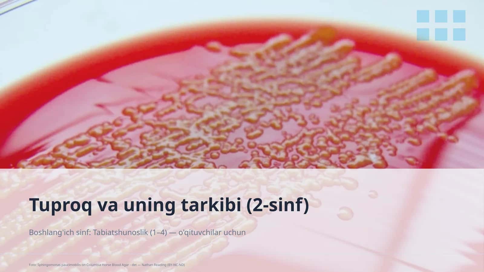 Tuproq va uning tarkibi (2-sinf)
