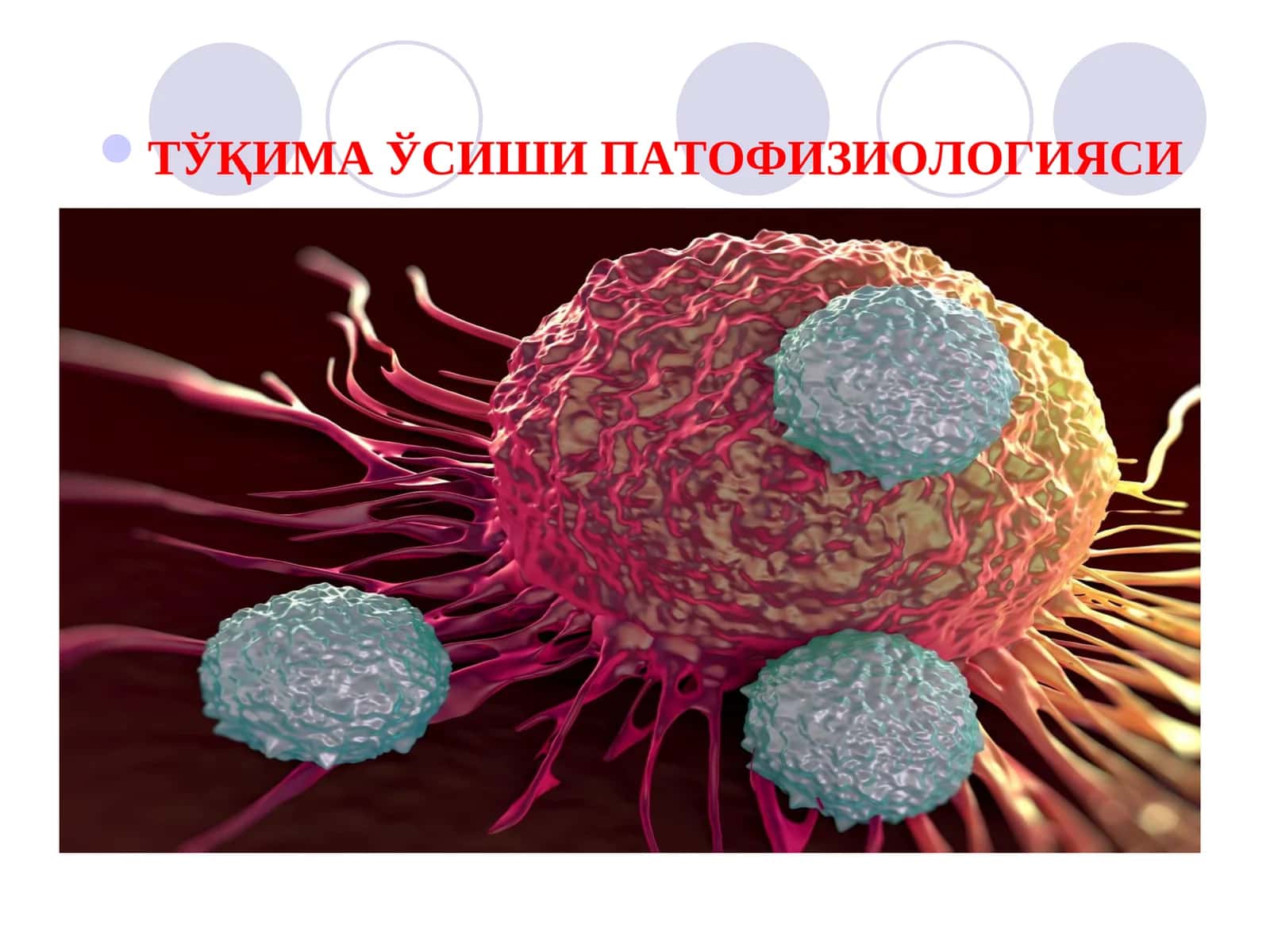 ТЎҚИМА ЎСИШИ ПАТОФИЗИОЛОГИЯСИ