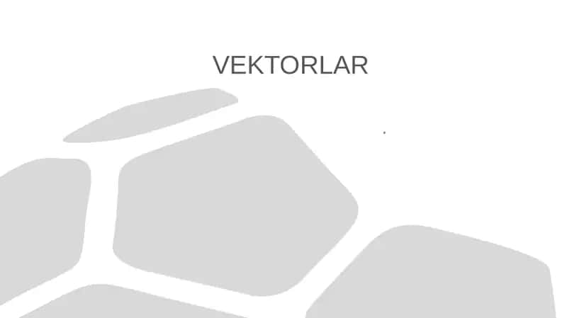 VEKTORLAR