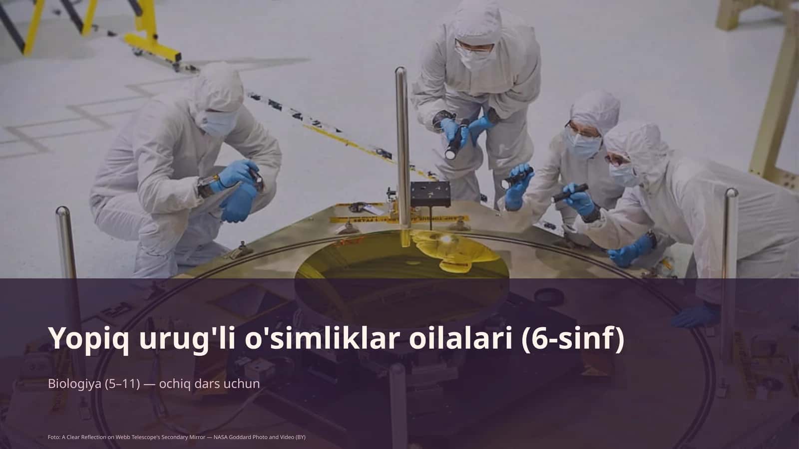 Yopiq urug'li o'simliklar oilalari (6-sinf)