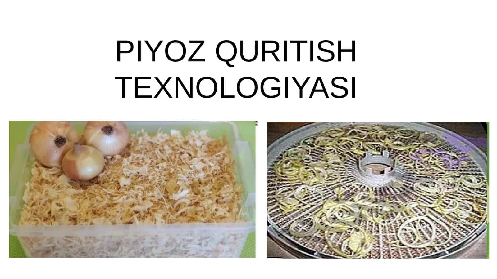 Piyoz quritish texnalogyayasi