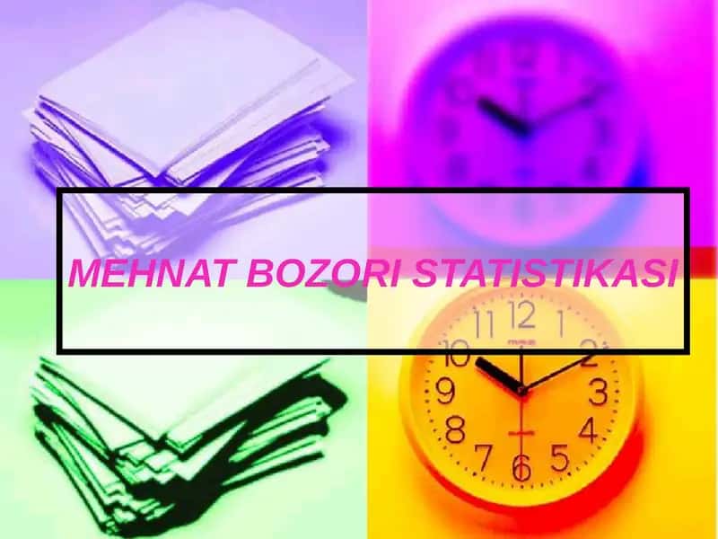 MEHNAT BOZORI STATISTIKASI
