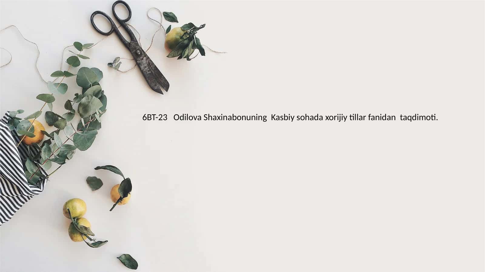 Odilova Shaxinabonuning Kasbiy sohada xorijiy tillar fanidan taqdimoti