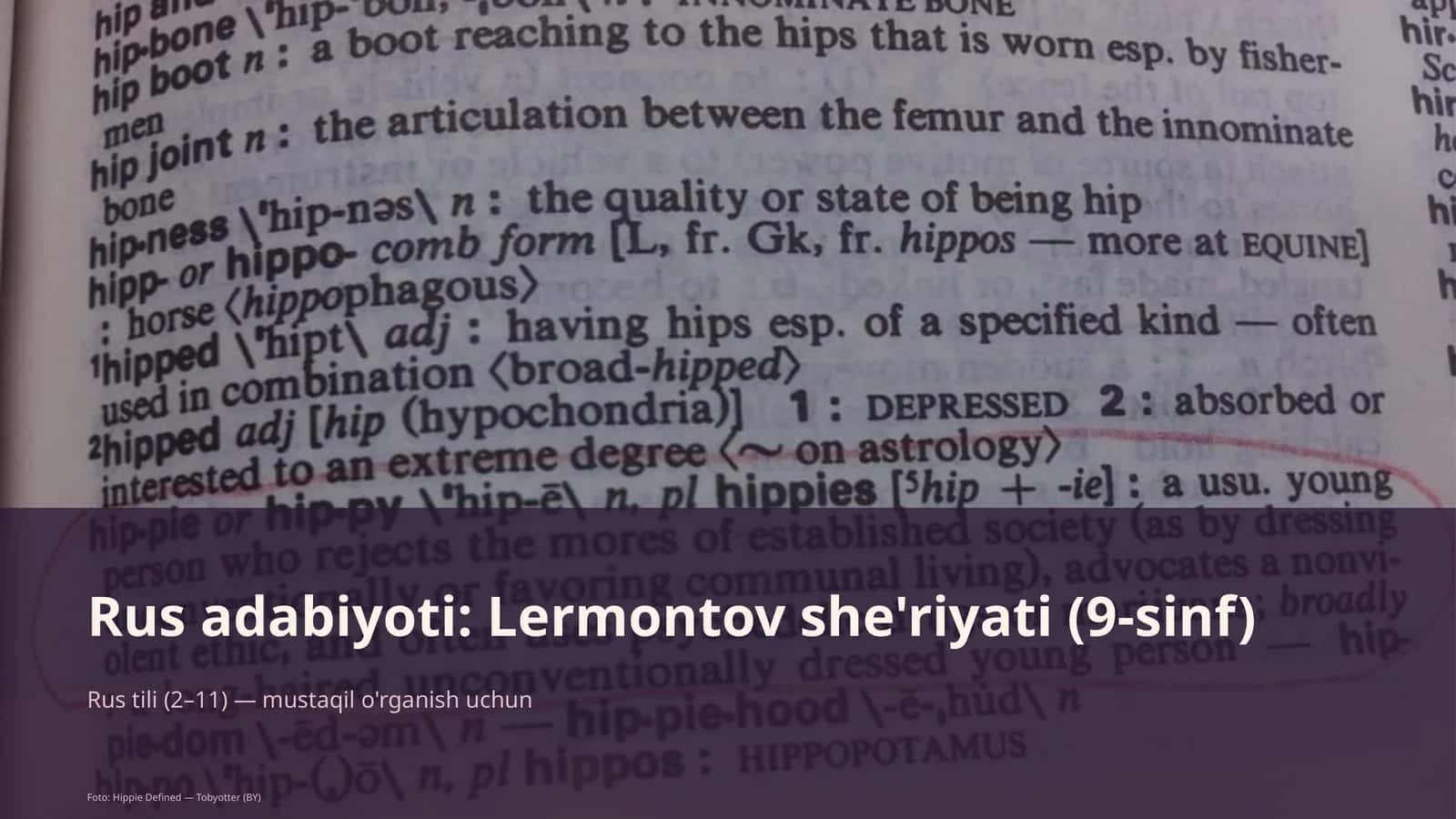 Rus adabiyoti: Lermontov she'riyati (9-sinf)