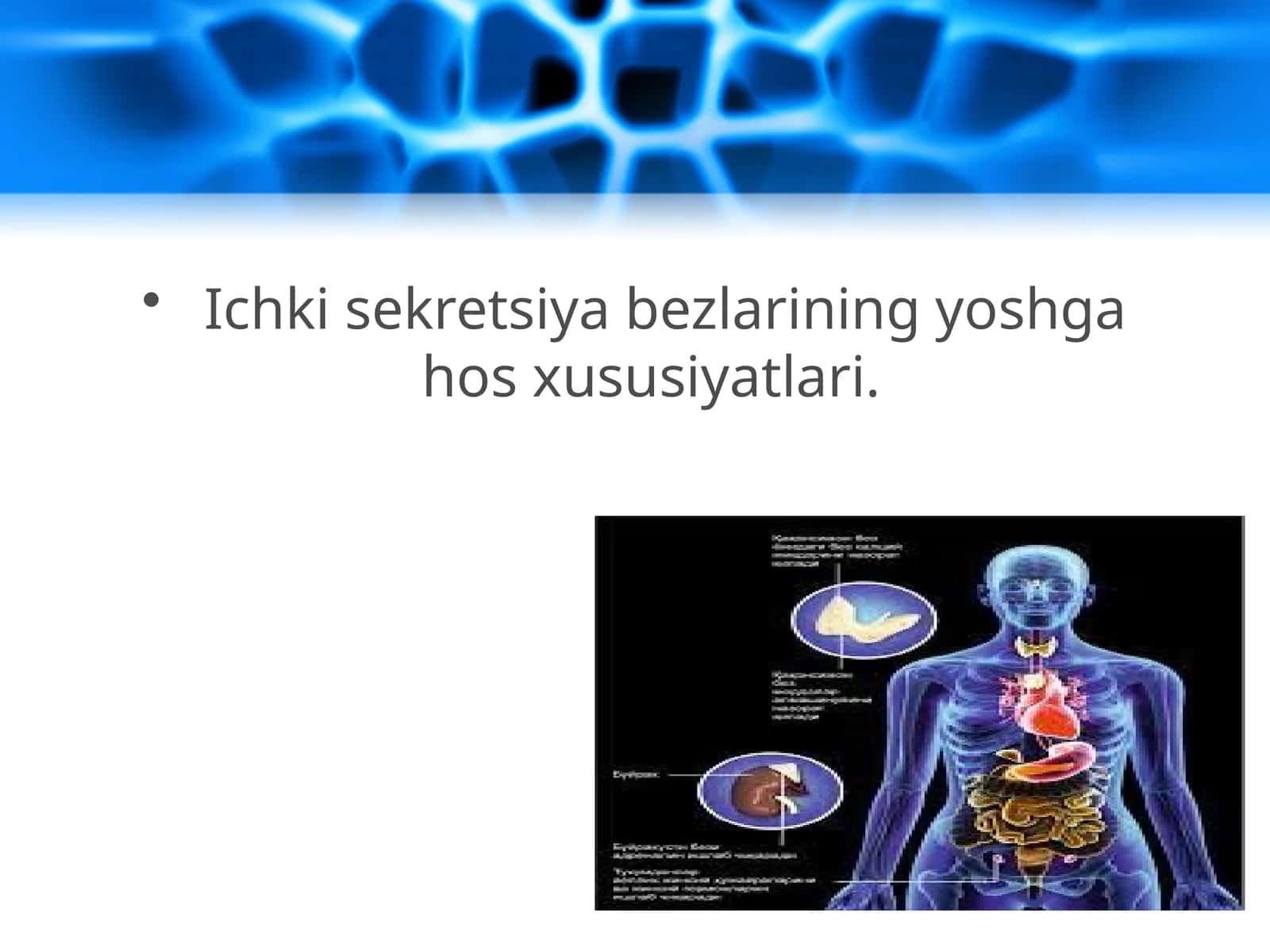 Ichki sekretsiya bezlarining yoshga hos xususiyatlari