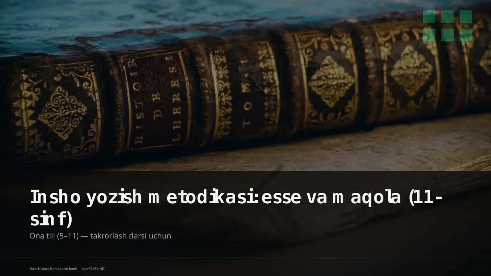 Insho yozish metodikasi: esse va maqola (11-sinf)