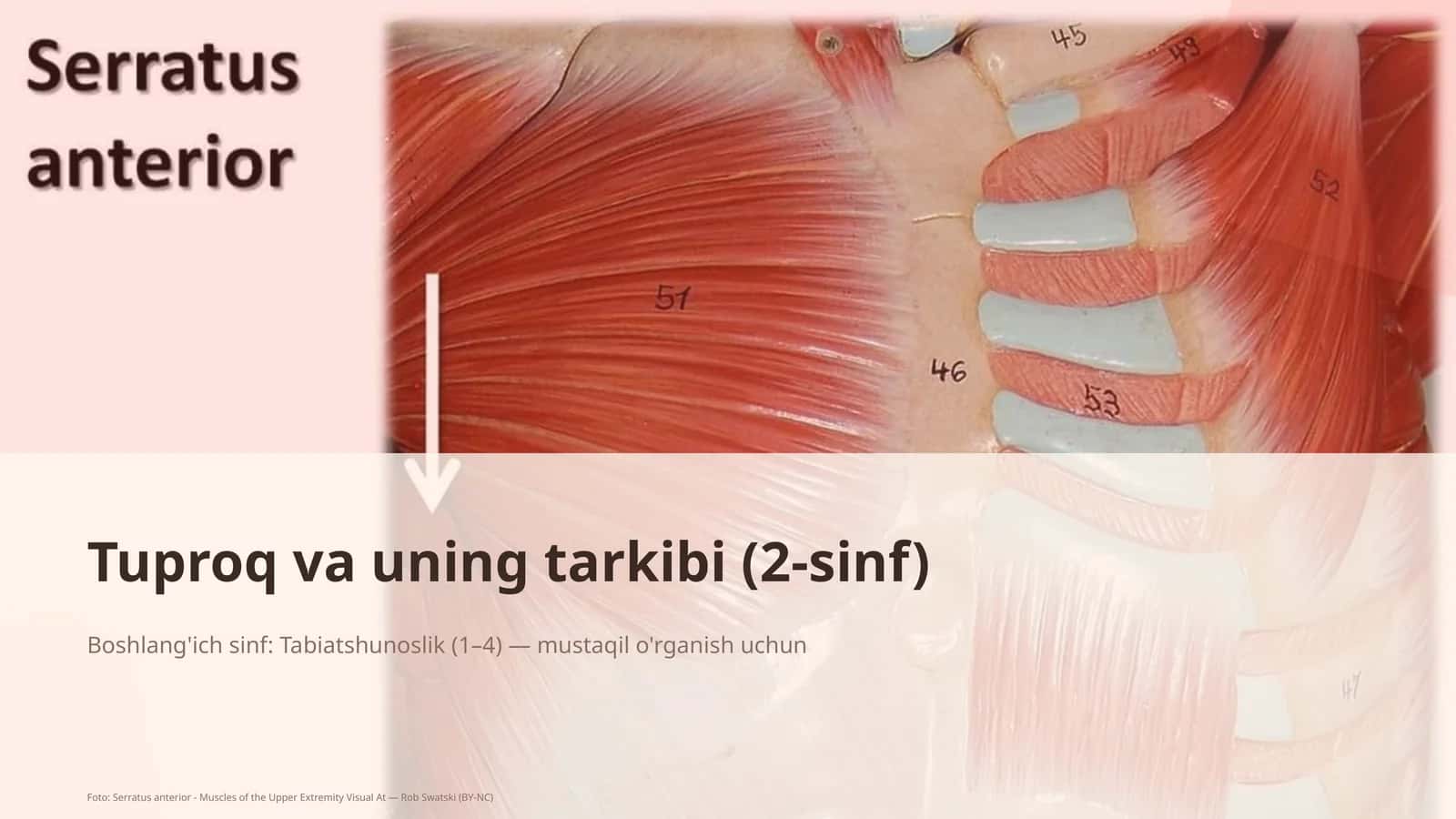 Tuproq va uning tarkibi (2-sinf)