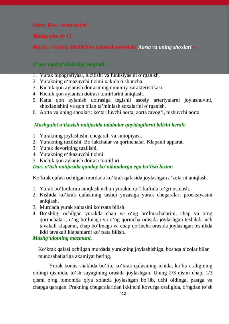 Yurak. Kichik kon aylanish tomirlari. Aorta va uning shoxlari