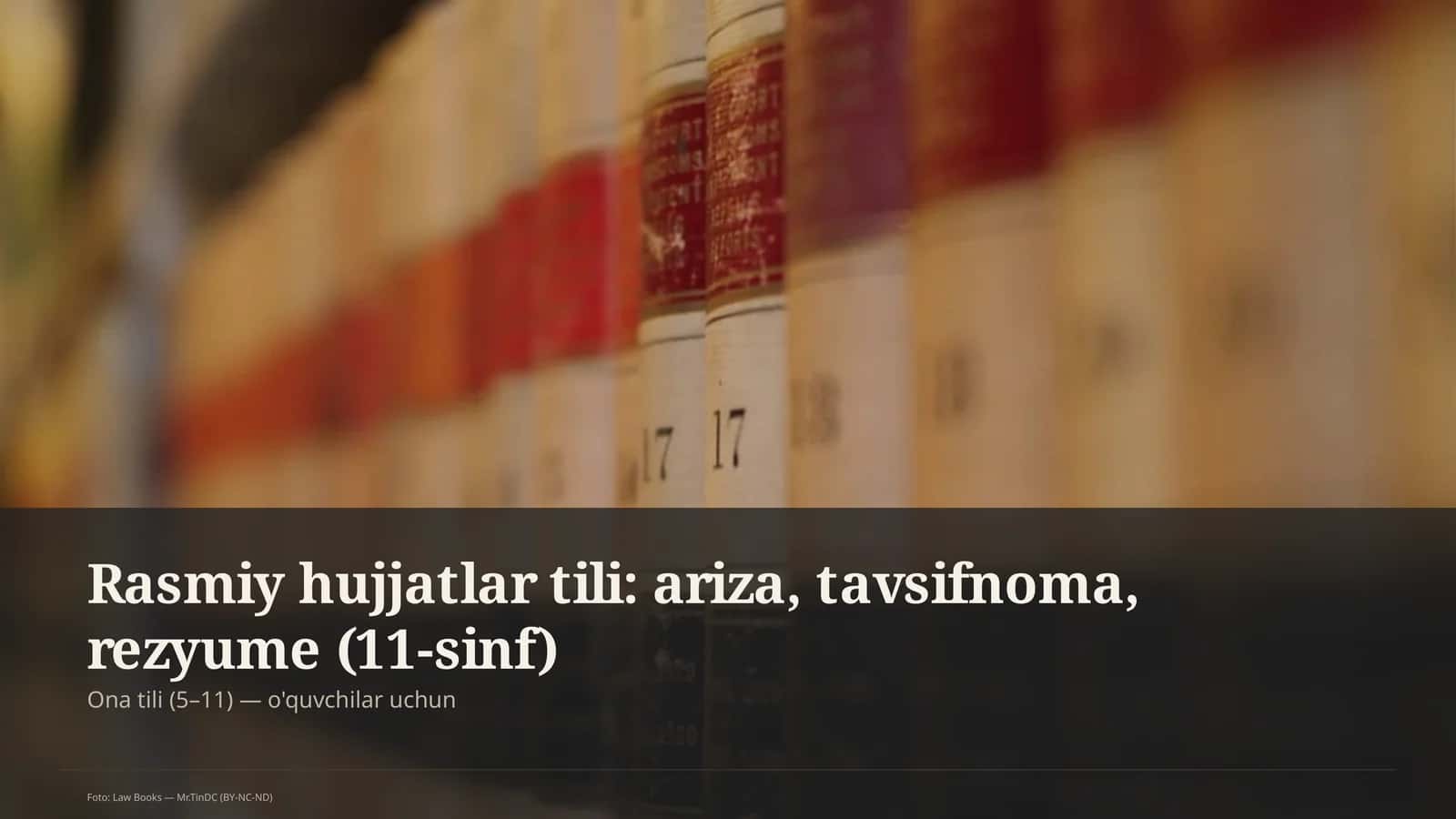 Rasmiy hujjatlar tili: ariza, tavsifnoma, rezyume (11-sinf)